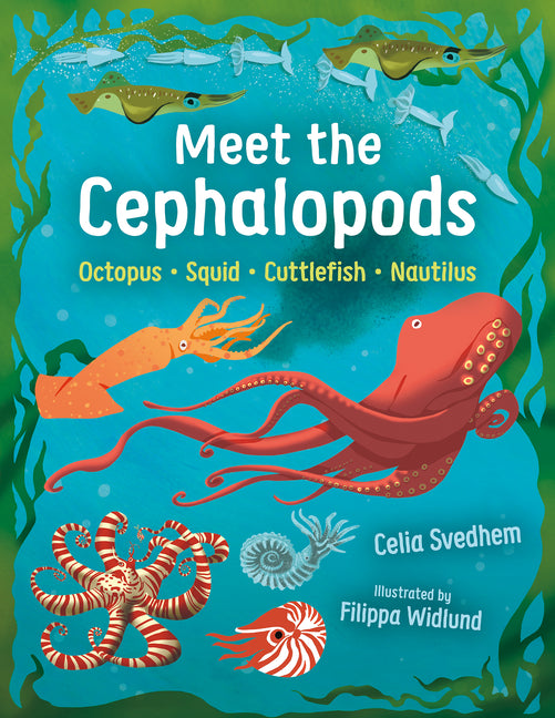 Book cover for Meet the Cephalopods: Octopus, Squid, Cuttlefish, Nautilus