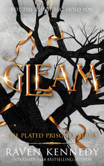 Book cover for Gleam: The dark fantasy TikTok sensation that's sold over a million copies