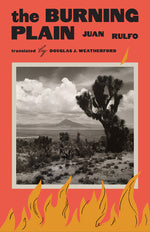 Book cover for Burning Plain