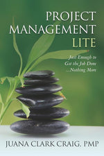 Book cover for Project Management Lite: Just Enough to Get the Job Done...Nothing More