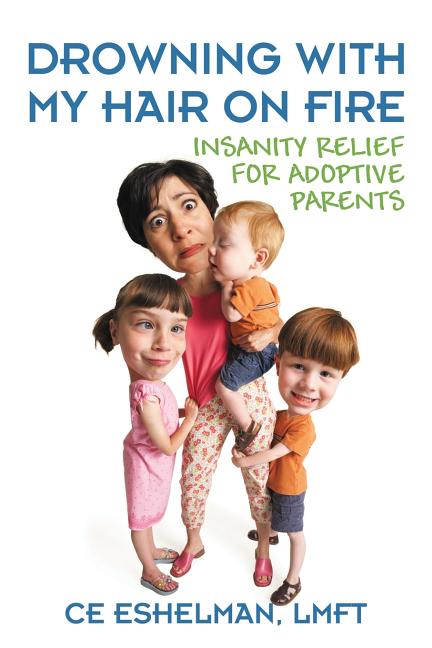 Book cover for Drowning With My Hair On Fire: Insanity Relief for Adoptive Parents