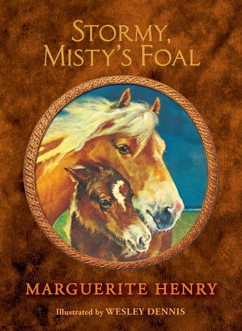 Book cover for Stormy, Misty's Foal