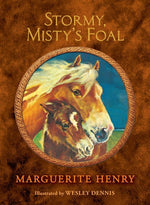Book cover for Stormy, Misty's Foal