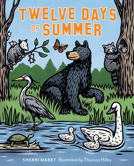 Book cover for Twelve Days of Summer