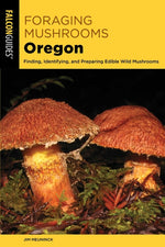 Image for variant 9781493086665