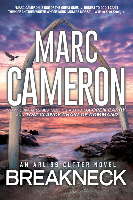 Book cover for Breakneck: A Captivating Novel of Suspense