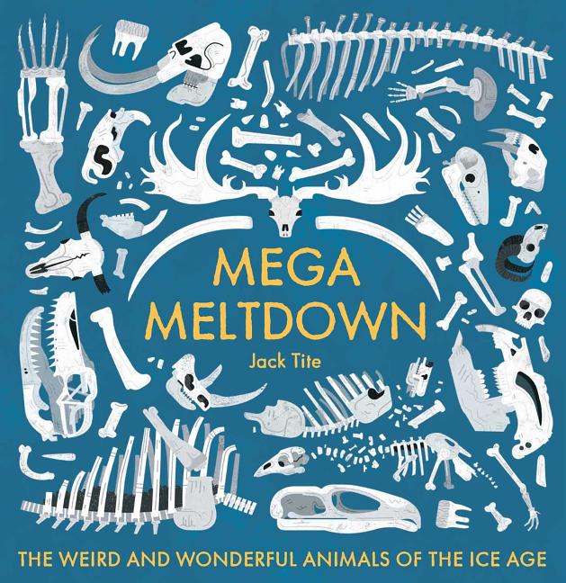 Book cover for Mega Meltdown: The Weird and Wonderful Animals of the Ice Age