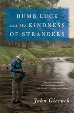 Book cover for Dumb Luck and the Kindness of Strangers
