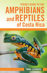 Book cover for Pocket Guide to the Amphibians and Reptiles of Costa Rica