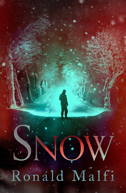 Book cover for Snow