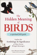 Book cover for Hidden Meaning of Birds--A Spiritual Field Guide: Explore the Symbology and Significance of These Divine Winged Messengers