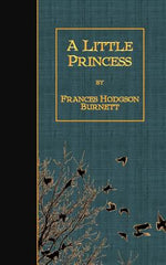 Book cover for A Little Princess