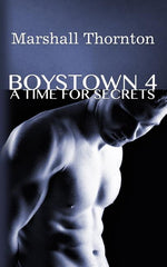 Book cover for Boystown 4: A Time For Secrets