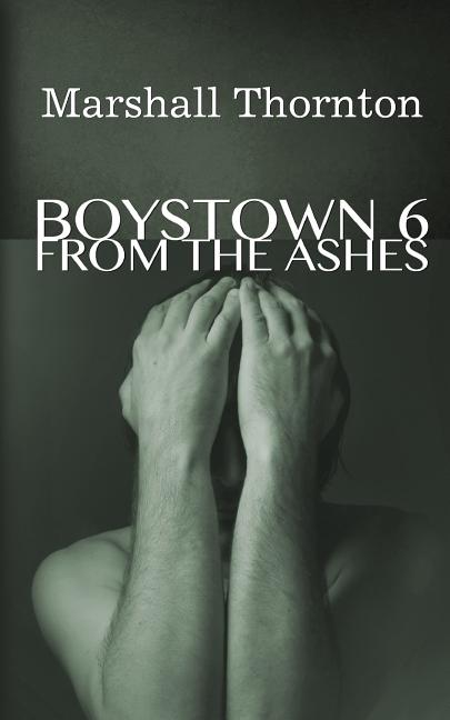 Book cover for Boystown 6: From The Ashes