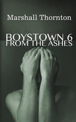 Book cover for Boystown 6: From The Ashes