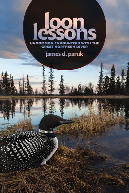 Book cover for Loon Lessons: Uncommon Encounters with the Great Northern Diver