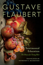 Book cover for Sentimental Education: The Story of a Young Man