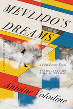 Book cover for Mevlido's Dreams: A Post-Exotic Novel