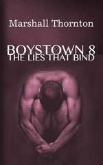Book cover for Boystown 8: The Lies That Bind