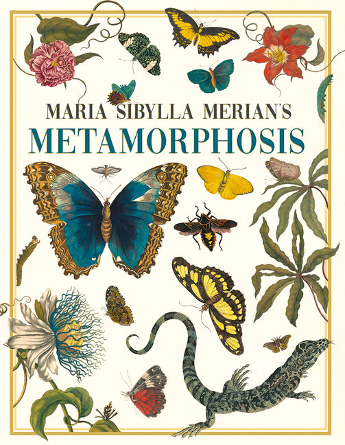 Book cover for Maria Sibylla Merian's Metamorphosis: One Woman's Discovery of the Transformation of Butterflies and Insects
