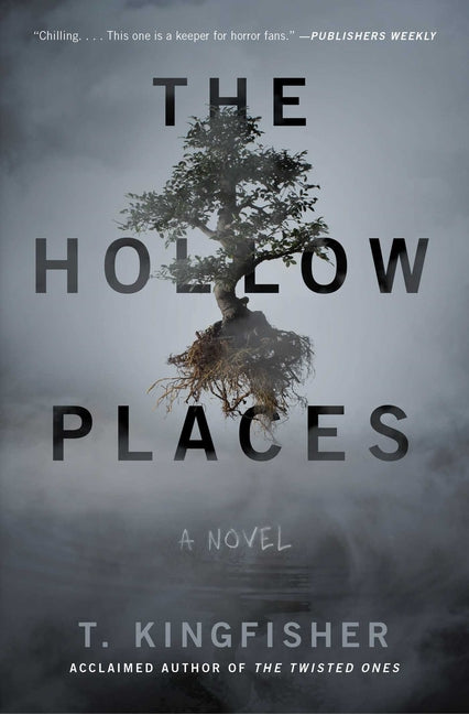 Book cover for The Hollow Places