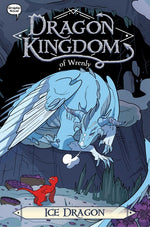 Book cover for Ice Dragon