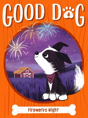 Book cover for Fireworks Night