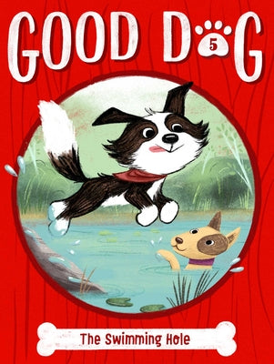 Book cover for The Swimming Hole