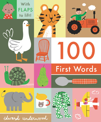 Book cover for 100 First Words