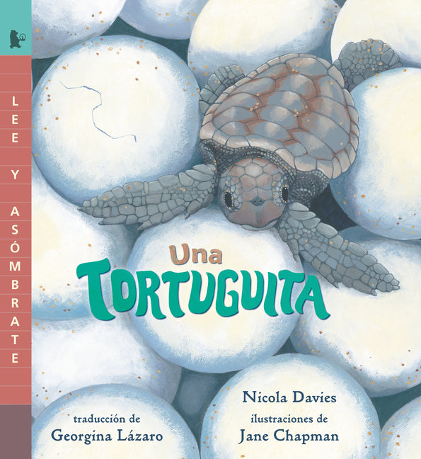 Book cover for Una Tortuguita: Read and Wonder