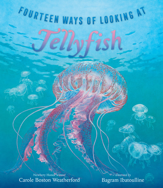 Book cover for Fourteen Ways of Looking at Jellyfish