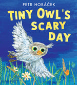 Book cover for Tiny Owl's Scary Day