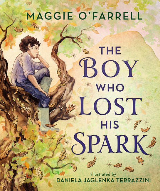 Book cover for Boy Who Lost His Spark