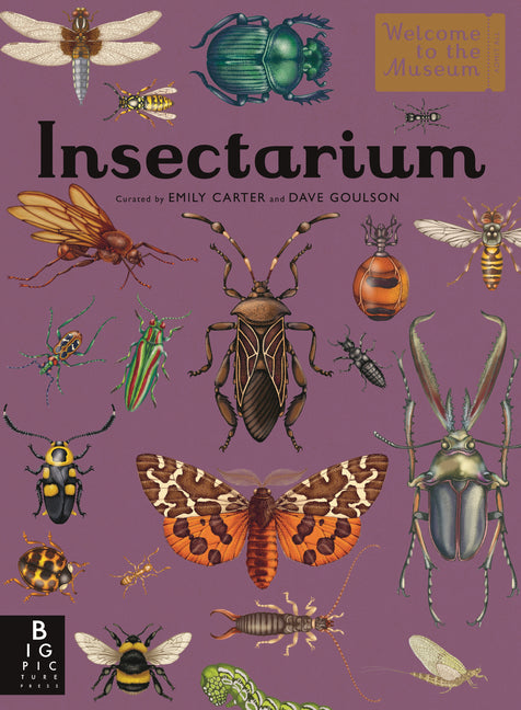 Book cover for Insectarium: Welcome to the Museum