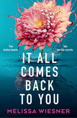 Book cover for It All Comes Back to You