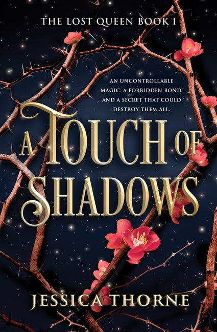 Book cover for Touch of Shadows