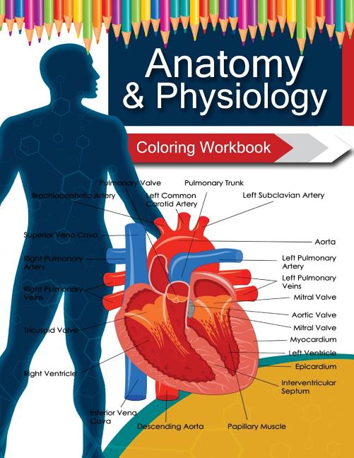 Book cover for Anatomy & Physiology Coloring WorkBook Books