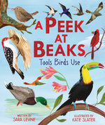 Book cover for Peek at Beaks: Tools Birds Use