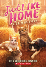 Book cover for Kitten Delivery (Just Like Home, Book Two)