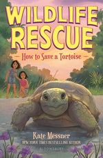 Book cover for How to Save a Tortoise