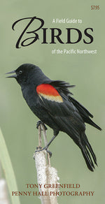 Book cover for Field Guide to Birds of the Pacific Northwest