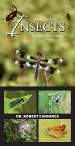 Book cover for A Field Guide to Insects of the Pacific Northwest