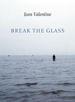 Book cover for Break the Glass