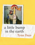 Book cover for A Little Bump in the Earth
