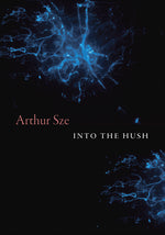 Book cover for Into the Hush