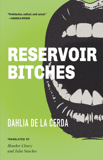 Book cover for Reservoir Bitches: Stories