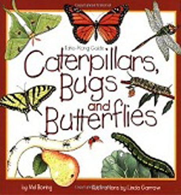 Book cover for Caterpillars, Bugs and Butterflies: Take-Along Guide