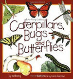 Book cover for Caterpillars, Bugs and Butterflies: Take-Along Guide
