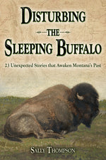 Book cover for Disturbing the Sleeping Buffalo
