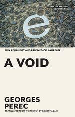 Book cover for Void